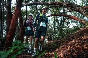 BIB: 
                            <button type="button" onclick="openModal(26344874)" class="btn btn-primary btn-sm float-right btn-popup" data-toggle="modal" data-target=".modal-high-quality">
                        <i class="fas fa-shopping-cart"></i> Add to Cart
                    </button>
                                            <button type="button" onclick="isThisMe(26344874, true)" class="btn btn-success btn-sm float-right btn-popup btn-isme hidden" data-toggle="tooltip" data-placement="bottom" title="นี่คือรูปของคุณใช่ไหม คลิกที่นี่เพื่อเอาเข้าอัลบั้ม">
                        <i class="fas fa-plus"></i> Add to album
                    </button>
                    <button type="button" onclick="isThisMe(26344874, false)" class="btn btn-warning btn-sm float-right btn-popup btn-isnotme hidden">
                        <i class="fas fa-ban"></i> Remove from album
                    </button>